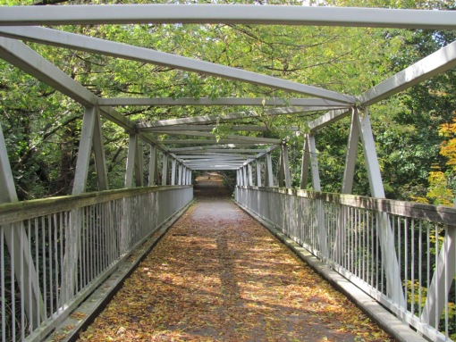 Bridge Fall 2013